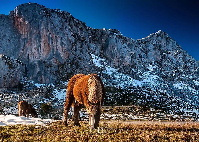 酒店 格兰达酒店 4*